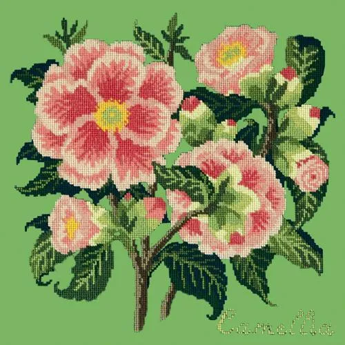 Camellia